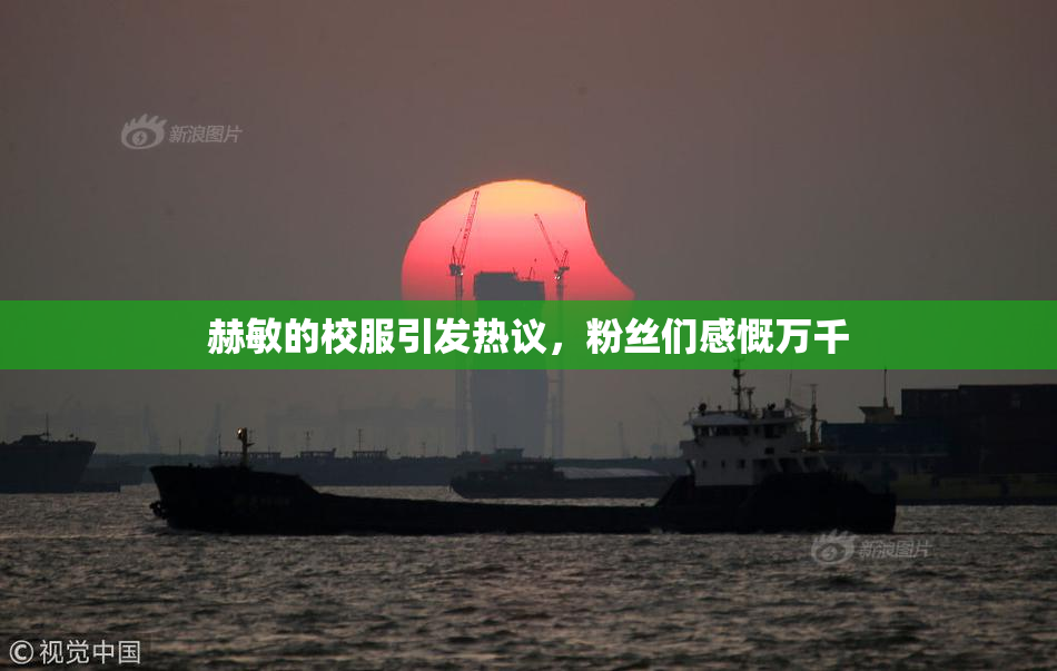 赫敏的校服引发热议，粉丝们感慨万千