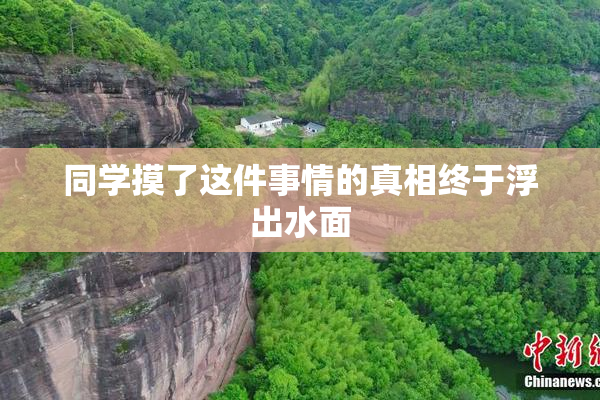 同学摸了这件事情的真相终于浮出水面