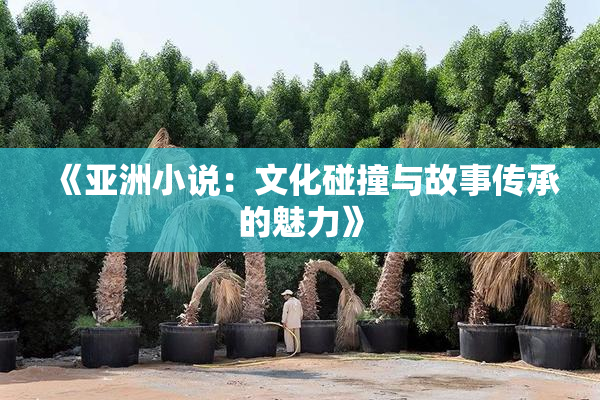 《亚洲小说：文化碰撞与故事传承的魅力》