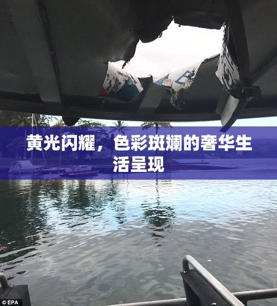 黄光闪耀，色彩斑斓的奢华生活呈现