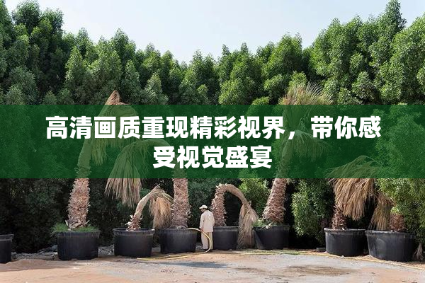 高清画质重现精彩视界，带你感受视觉盛宴