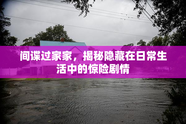 间谍过家家，揭秘隐藏在日常生活中的惊险剧情