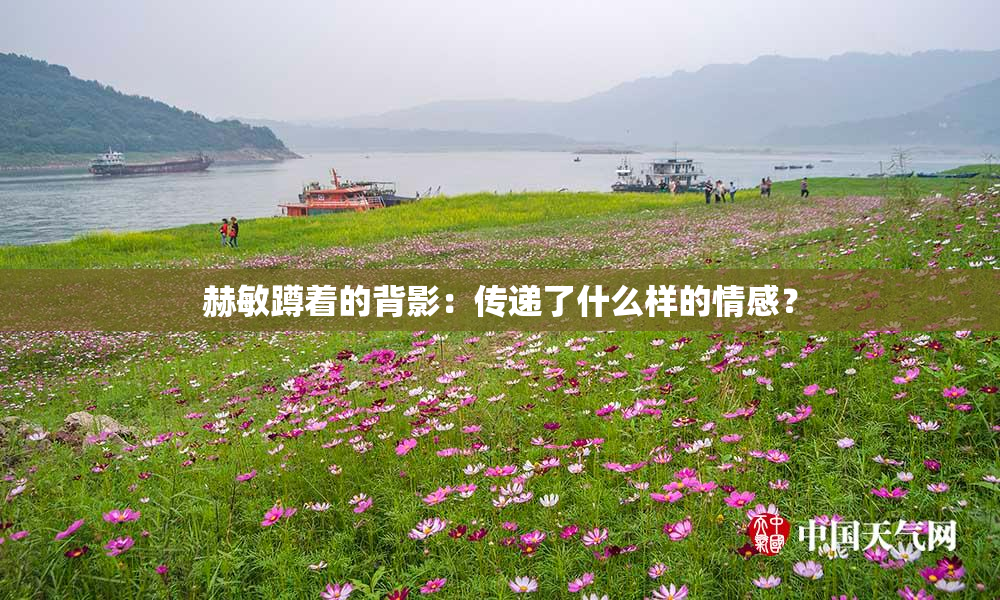 赫敏蹲着的背影：传递了什么样的情感？