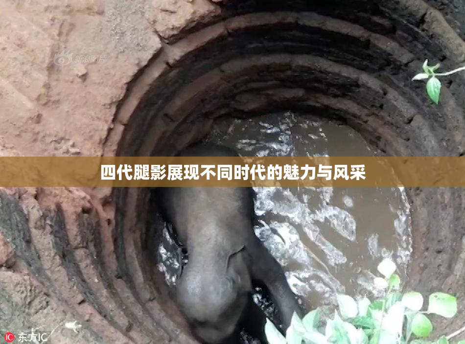 四代腿影展现不同时代的魅力与风采