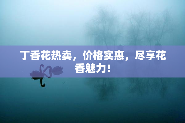 丁香花热卖，价格实惠，尽享花香魅力！