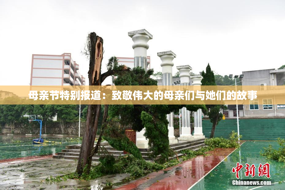 母亲节特别报道：致敬伟大的母亲们与她们的故事