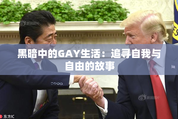 黑暗中的GAY生活：追寻自我与自由的故事