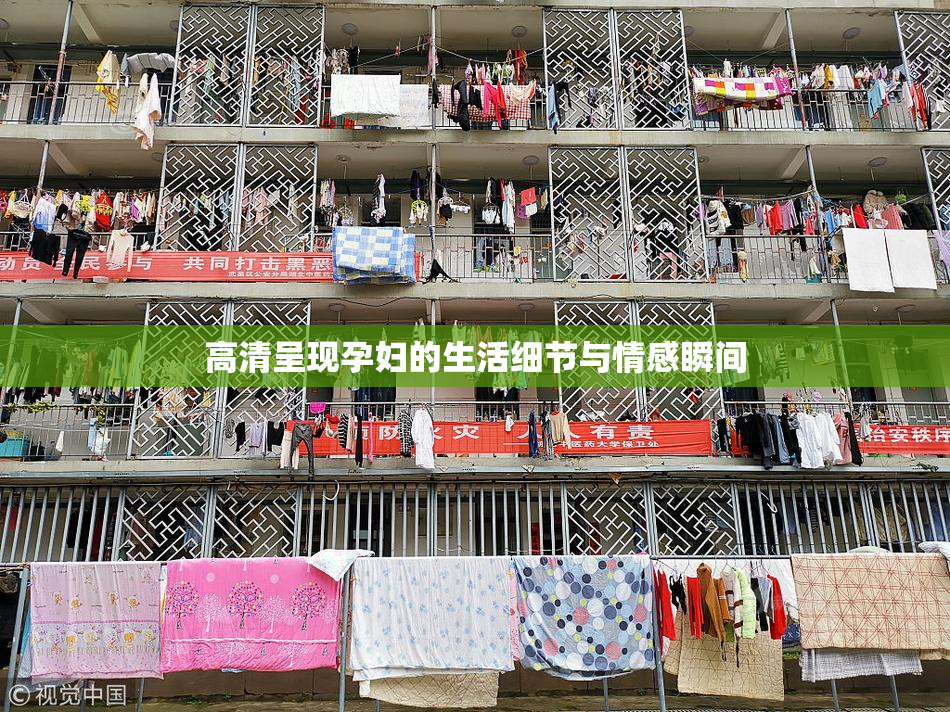 高清呈现孕妇的生活细节与情感瞬间