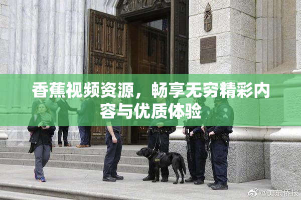 香蕉视频资源，畅享无穷精彩内容与优质体验