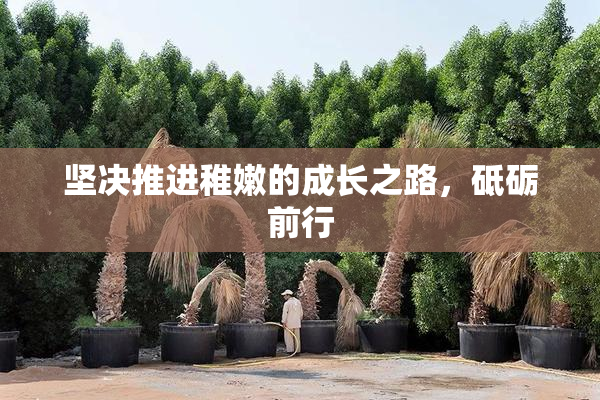 坚决推进稚嫩的成长之路，砥砺前行