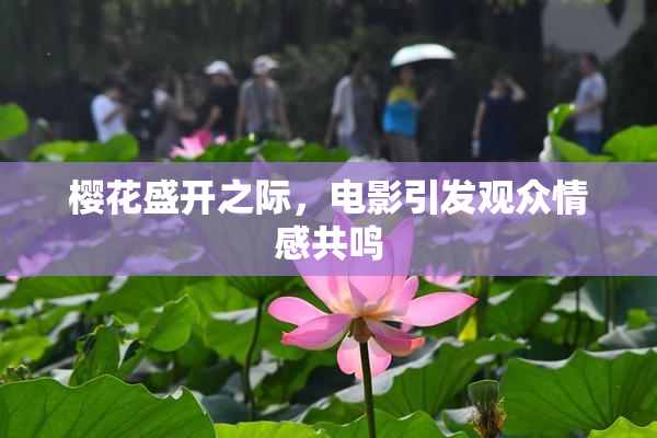 樱花盛开之际，电影引发观众情感共鸣