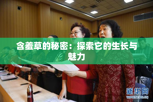 含羞草的秘密：探索它的生长与魅力
