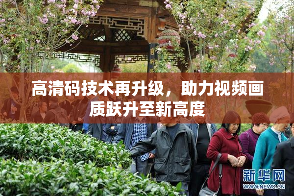 高清码技术再升级，助力视频画质跃升至新高度