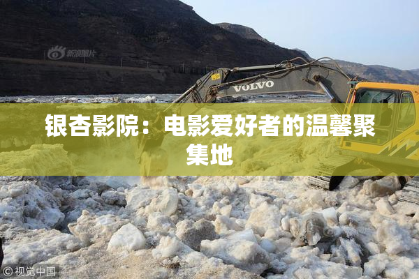银杏影院：电影爱好者的温馨聚集地