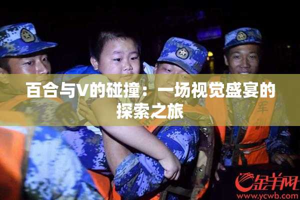 百合与V的碰撞：一场视觉盛宴的探索之旅