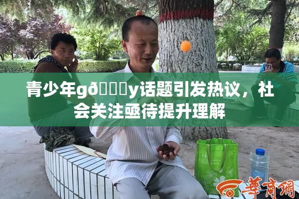 青少年g🈚y话题引发热议，社会关注亟待提升理解