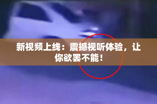 新视频上线：震撼视听体验，让你欲罢不能！