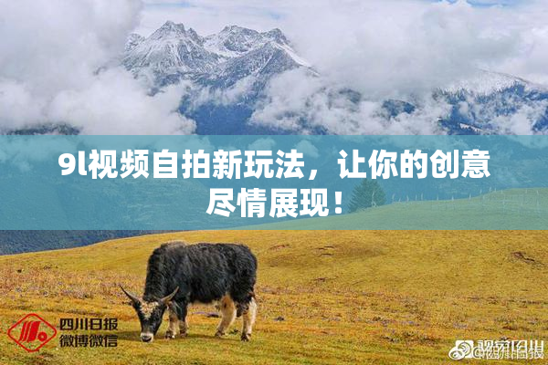 9l视频自拍新玩法，让你的创意尽情展现！