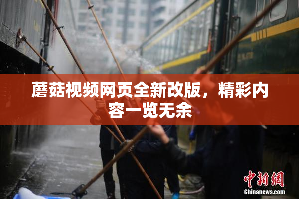 蘑菇视频网页全新改版，精彩内容一览无余