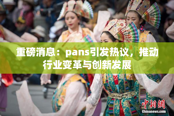 重磅消息：pans引发热议，推动行业变革与创新发展