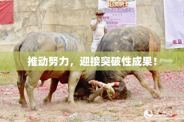 推动努力，迎接突破性成果！