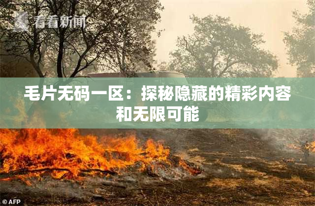 毛片无码一区：探秘隐藏的精彩内容和无限可能