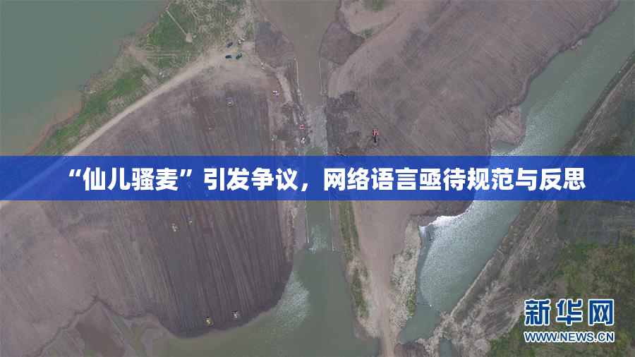 “仙儿骚麦”引发争议，网络语言亟待规范与反思