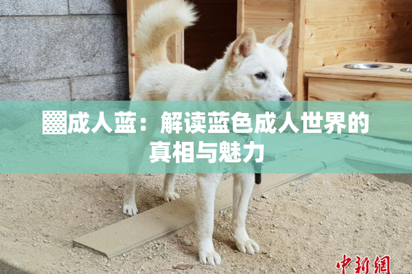 ▓成人蓝：解读蓝色成人世界的真相与魅力