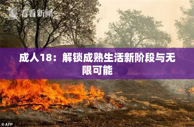 成人18：解锁成熟生活新阶段与无限可能