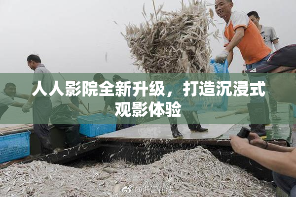人人影院全新升级，打造沉浸式观影体验
