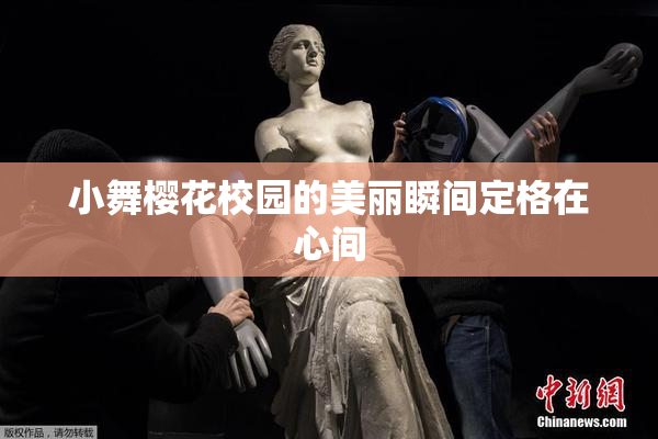 小舞樱花校园的美丽瞬间定格在心间