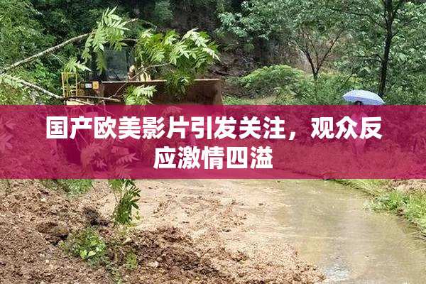 国产欧美影片引发关注，观众反应激情四溢