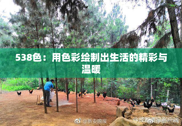 538色：用色彩绘制出生活的精彩与温暖