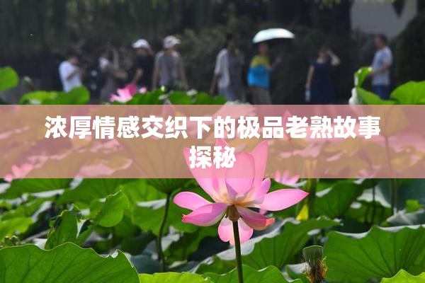 浓厚情感交织下的极品老熟故事探秘