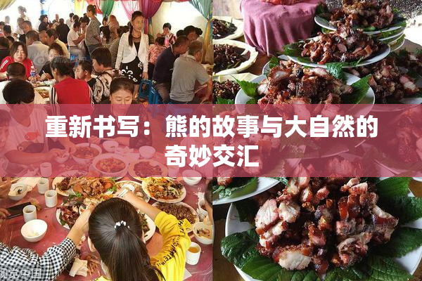重新书写：熊的故事与大自然的奇妙交汇