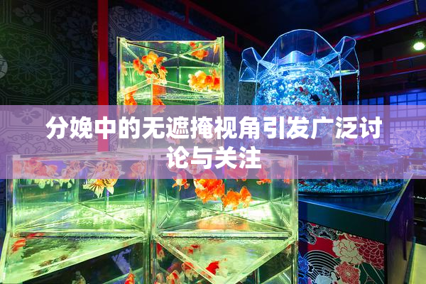 分娩中的无遮掩视角引发广泛讨论与关注