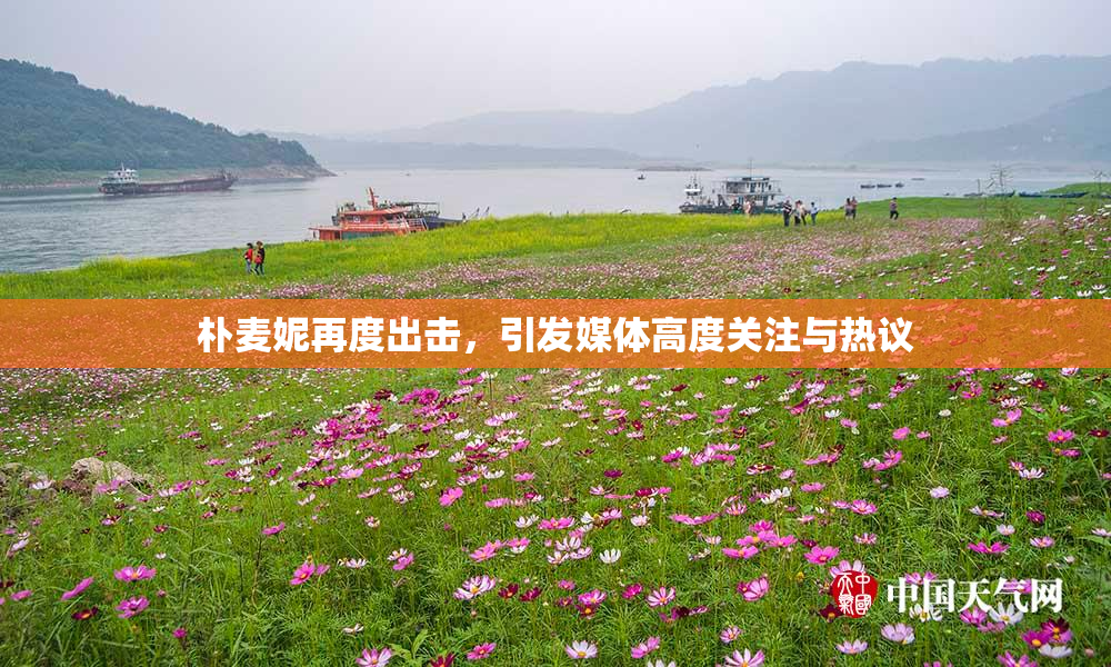 朴麦妮再度出击，引发媒体高度关注与热议