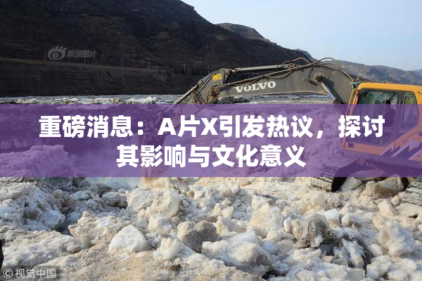 重磅消息：A片X引发热议，探讨其影响与文化意义