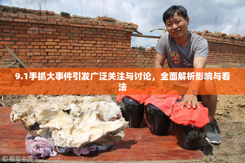 9.1手抓大事件引发广泛关注与讨论，全面解析影响与看法