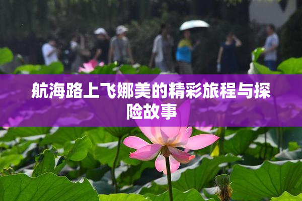 航海路上飞娜美的精彩旅程与探险故事