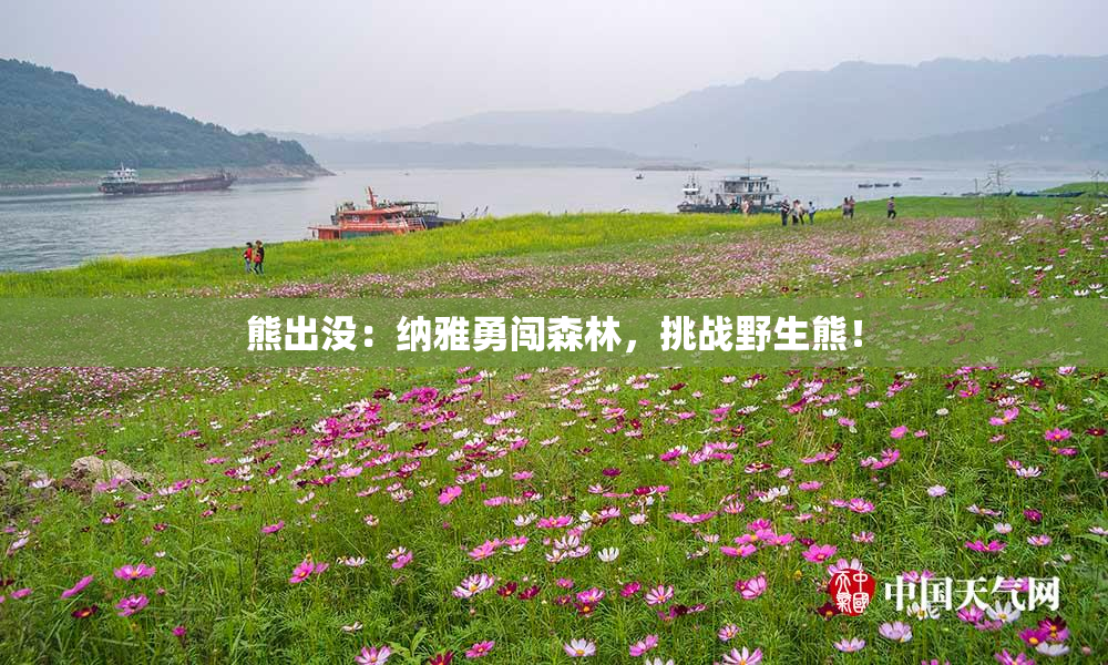 熊出没：纳雅勇闯森林，挑战野生熊！