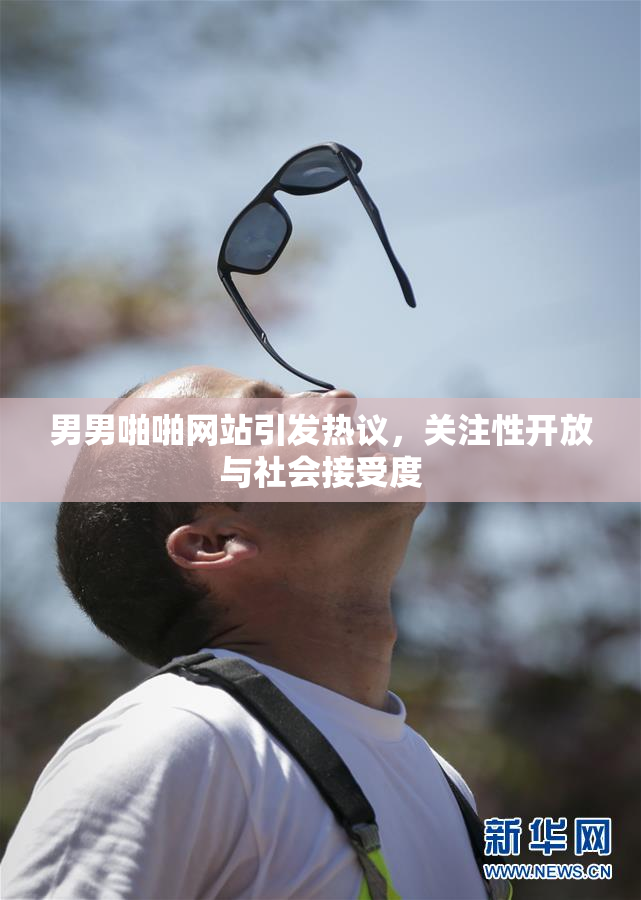 男男啪啪网站引发热议，关注性开放与社会接受度