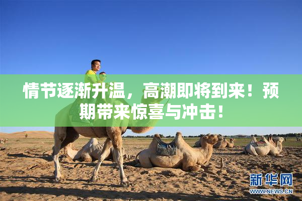 情节逐渐升温，高潮即将到来！预期带来惊喜与冲击！