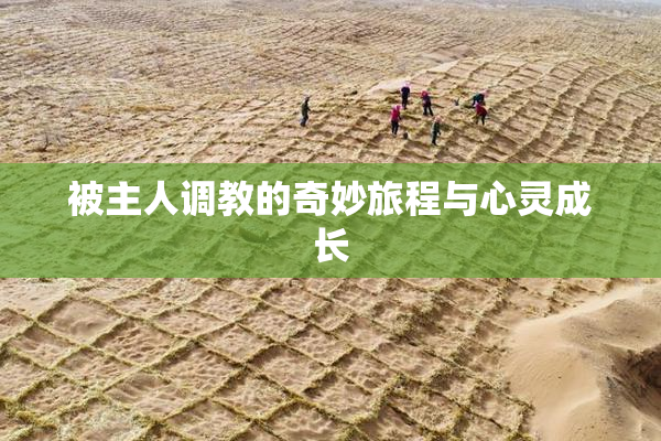 被主人调教的奇妙旅程与心灵成长