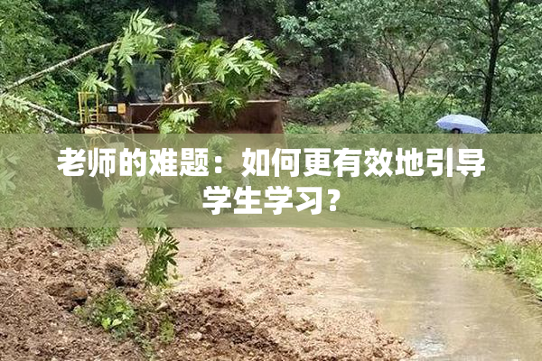 老师的难题：如何更有效地引导学生学习？