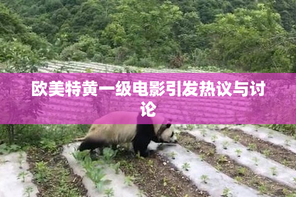 欧美特黄一级电影引发热议与讨论