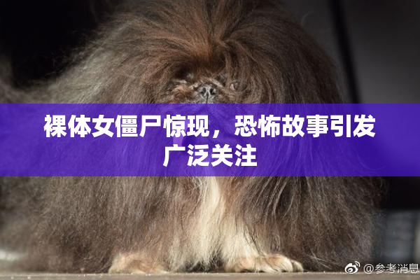 裸体女僵尸惊现，恐怖故事引发广泛关注