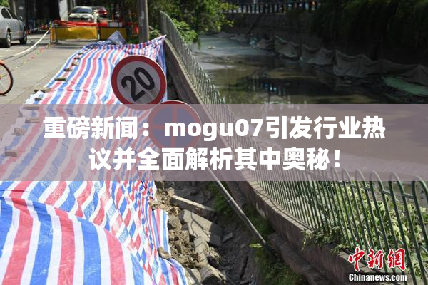 重磅新闻：mogu07引发行业热议并全面解析其中奥秘！