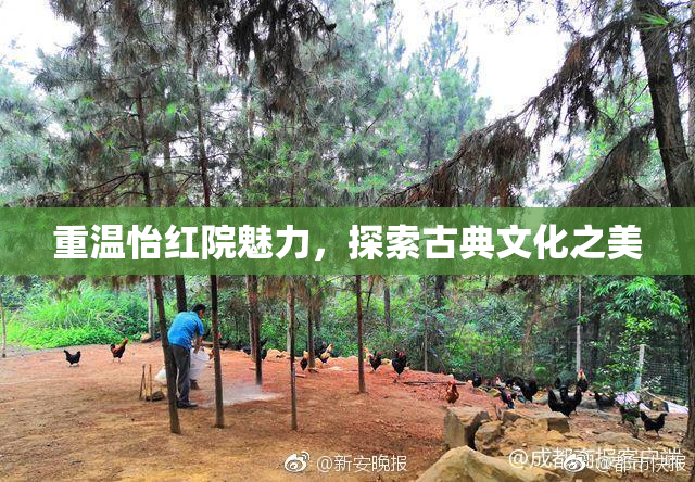 重温怡红院魅力，探索古典文化之美