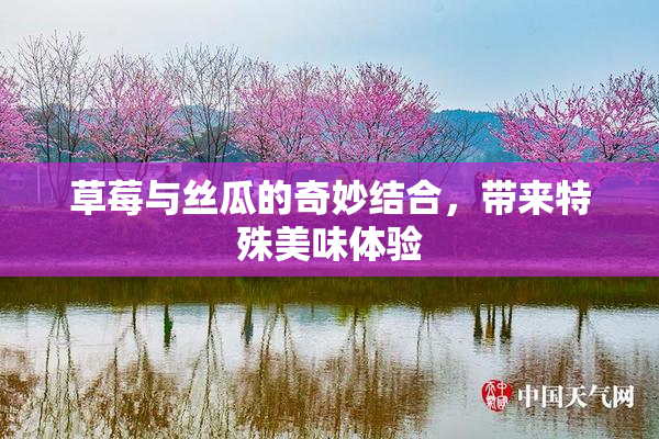 草莓与丝瓜的奇妙结合，带来特殊美味体验